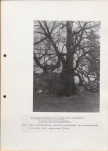 Ewidencja parkowa, skan nr 62