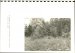 EP - Ewidencja parkowa, skan nr 23
