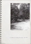 EP - Ewidencja parkowa, skan nr 31