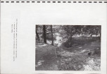 EP - Ewidencja parkowa, skan nr 40