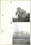 EP - Ewidencja parkowa, skan nr 6