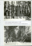 Ewidencja parkowa, skan nr 46