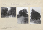 Karta biała, skan nr 19