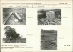 Karta biała, skan nr 42