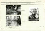 Karta biała, skan nr 19