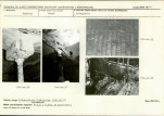 Karta biała, skan nr 23