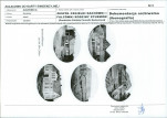 Karta biała, skan nr 12