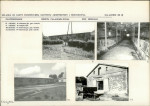 Karta biała, skan nr 11
