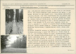 Karta biała, skan nr 17