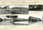 Karta biała, skan nr 11