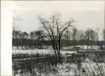 Ewidencja parkowa, skan nr 14