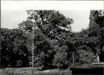 Ewidencja parkowa, skan nr 26