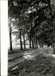 Ewidencja parkowa, skan nr 30
