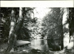 Ewidencja parkowa, skan nr 32
