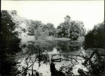 Ewidencja parkowa, skan nr 34