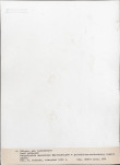 Ewidencja parkowa, skan nr 54