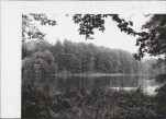 Ewidencja parkowa, skan nr 35
