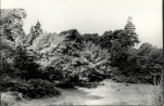 Ewidencja parkowa, skan nr 25