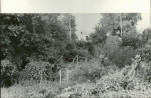 Ewidencja parkowa, skan nr 28
