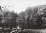 Ewidencja parkowa, skan nr 29
