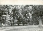 Ewidencja parkowa, skan nr 26