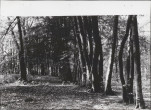 Ewidencja parkowa, skan nr 41