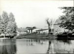Ewidencja parkowa, skan nr 20