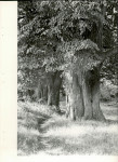 Ewidencja parkowa, skan nr 28