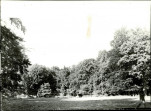 Ewidencja parkowa, skan nr 22