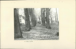 Ewidencja parkowa, skan nr 16