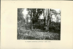 Ewidencja parkowa, skan nr 20
