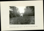 Ewidencja parkowa, skan nr 35