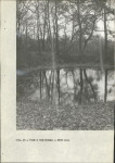 Ewidencja parkowa, skan nr 39