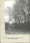 Ewidencja parkowa, skan nr 41