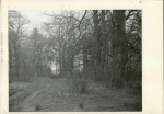 Ewidencja parkowa, skan nr 22