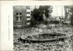 Ewidencja parkowa, skan nr 20