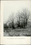 Ewidencja parkowa, skan nr 29