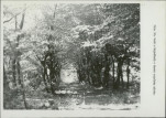 Ewidencja parkowa, skan nr 26