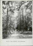 Ewidencja parkowa, skan nr 31
