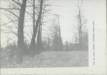 Ewidencja parkowa, skan nr 30