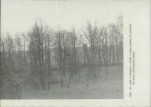 Ewidencja parkowa, skan nr 31