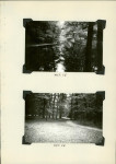 Ewidencja parkowa, skan nr 41