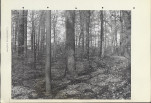 Ewidencja parkowa, skan nr 19