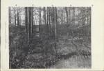 Ewidencja parkowa, skan nr 20