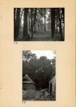 Ewidencja parkowa, skan nr 35