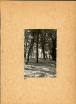 Ewidencja parkowa, skan nr 28