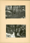 Ewidencja parkowa, skan nr 33