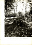 Ewidencja parkowa, skan nr 40