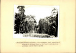 Ewidencja parkowa, skan nr 16