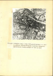 Ewidencja parkowa, skan nr 20
